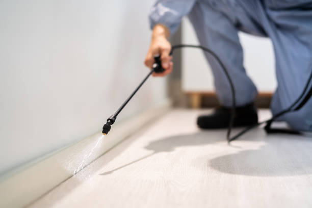 Licensed Mosquito Control service in Guthrie, OK - Show Me Pest Control