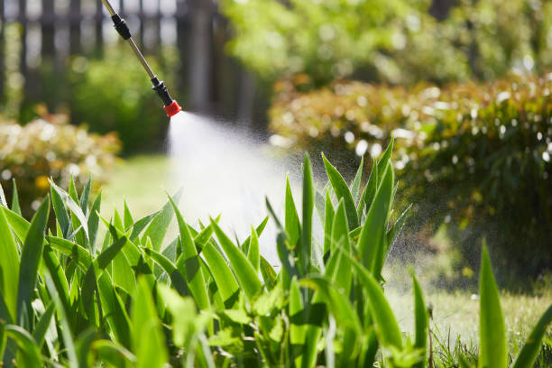 24/7 Emergency Mosquito Control experts in Guthrie, OK