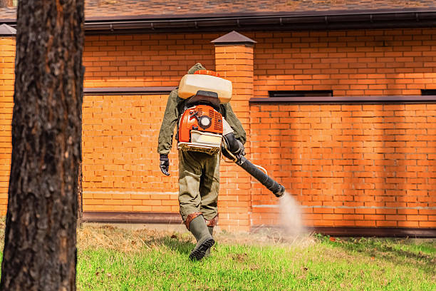 Top rated local Mosquito Control specialists in Guthrie, OK